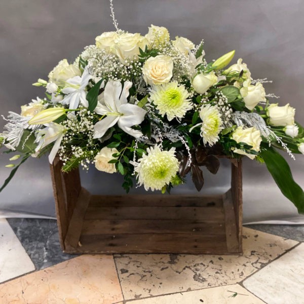 IMG_1868 IMG_1868