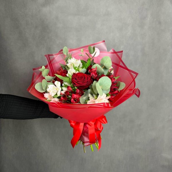 ff8bb6b0-5a76-4ae0-b70a-89eda543cd9f ff8bb6b0-5a76-4ae0-b70a-89eda543cd9f