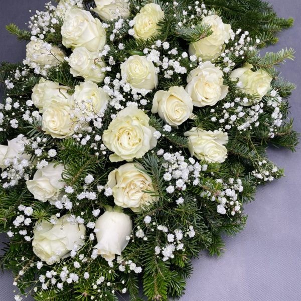 IMG_8637 IMG_8637