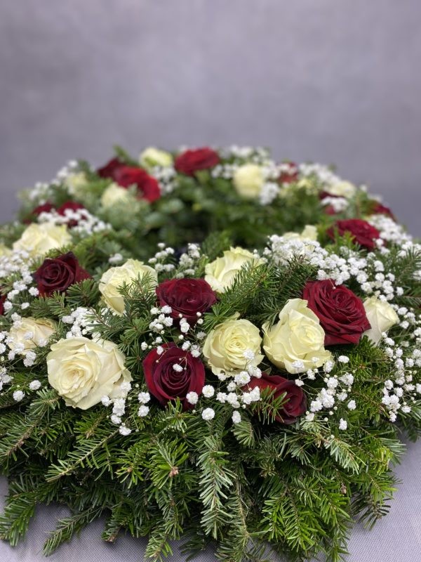 IMG_9795 IMG_9795