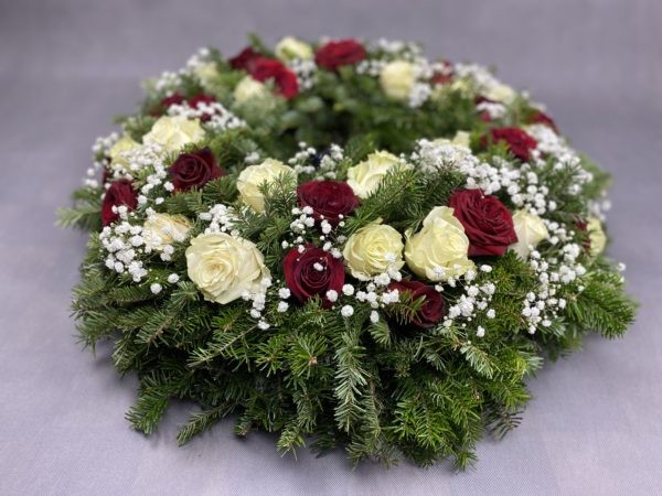 IMG_9796 IMG_9796