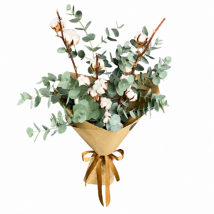 Kytica Eucalyptus a bavlna