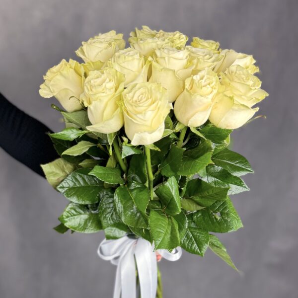 IMG_4261 IMG_4261