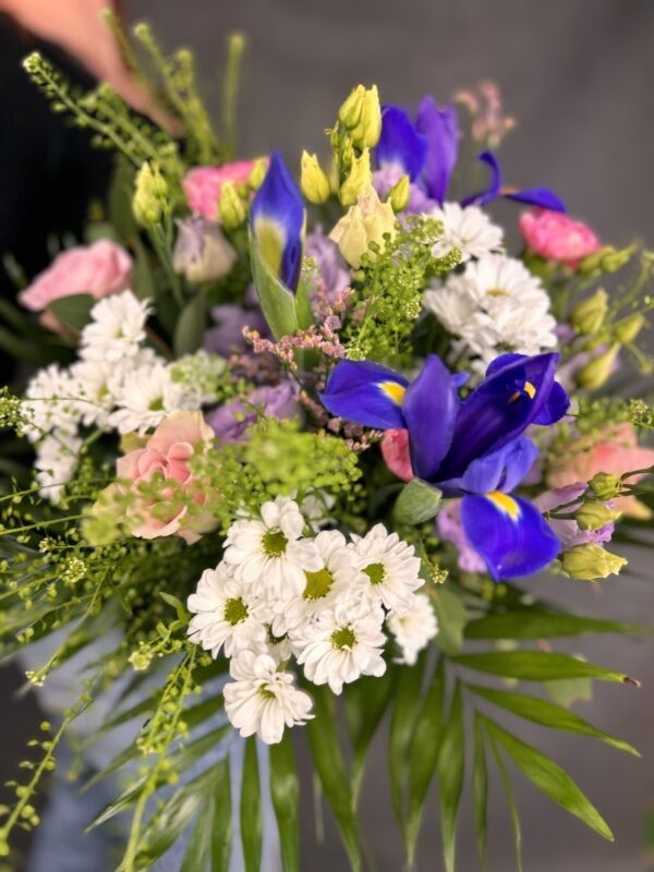 IMG_4657 IMG_4657