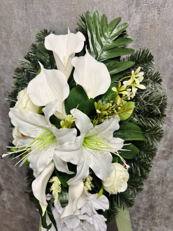 IMG_6087 IMG_6087