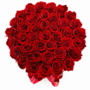 95CB9236-EA6E-4CC3-B4EB-564566F0A7C1